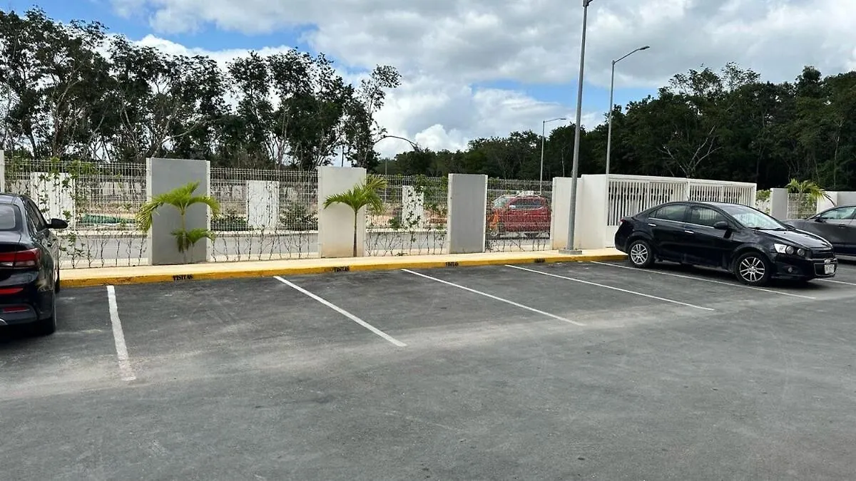 Dreams Of Arena In The Jungle Of Cancún Messico