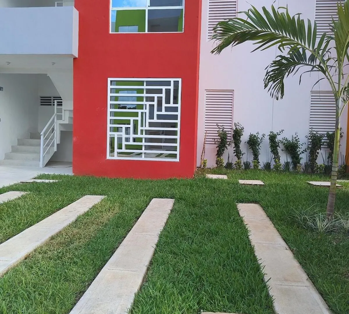 Dreams Of Arena In The Jungle Of Cancún